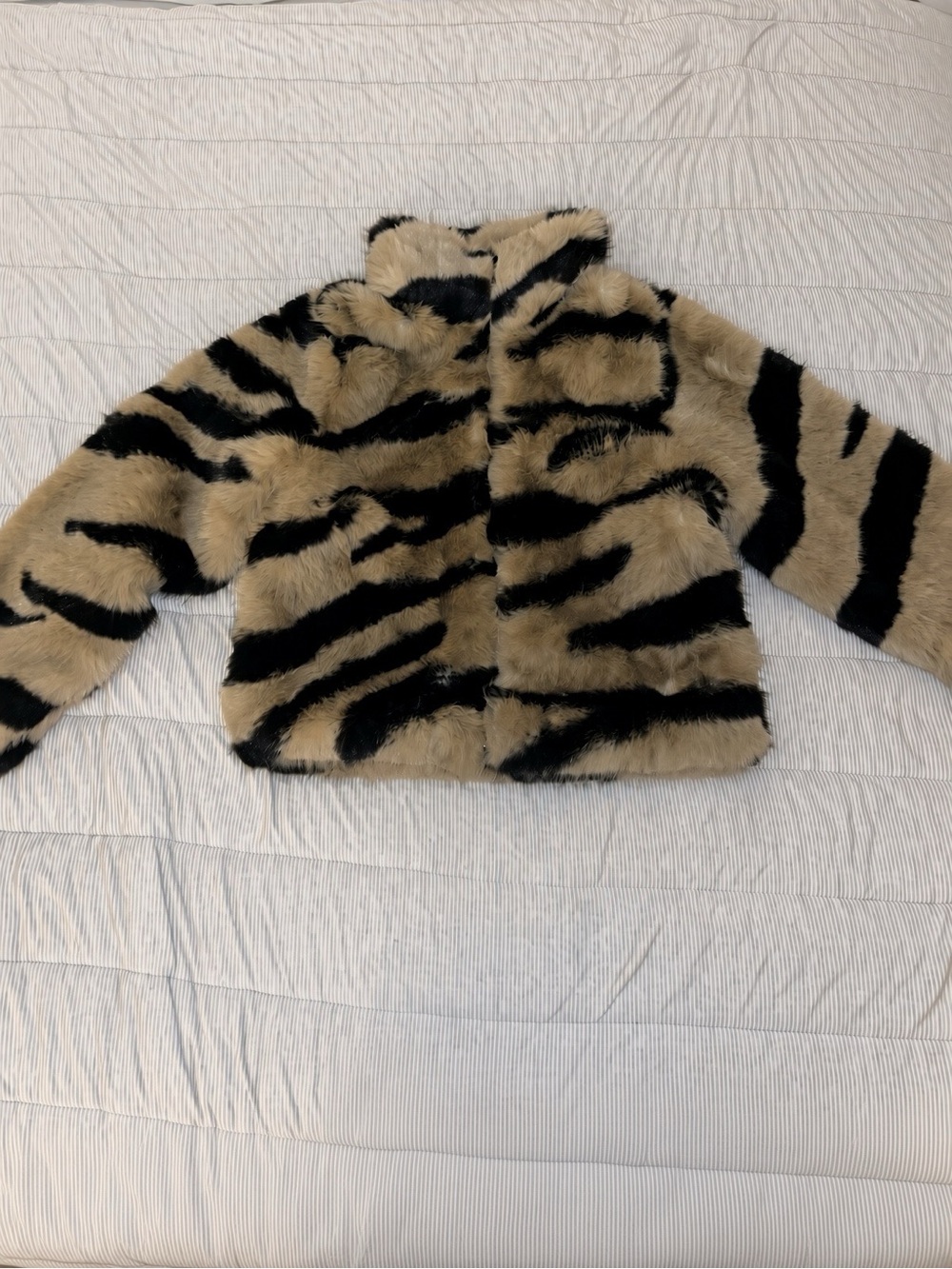 Faux Fur Zebra-Print Jacket - Beige & Black